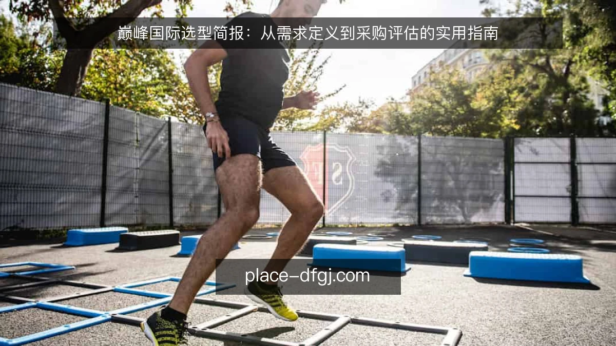 巅峰国际选型简报：从需求定义到采购评估的实用指南