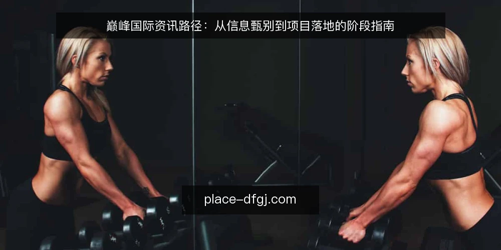 巅峰国际资讯路径:从信息甄别到项目落地的阶段指南 — 信息过载:从资讯海洋到决策迷雾 配图
