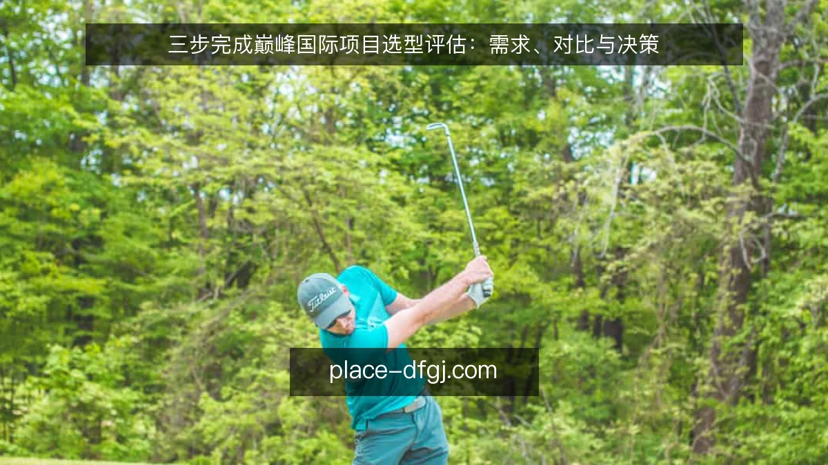 三步完成巅峰国际项目选型评估：需求、对比与决策