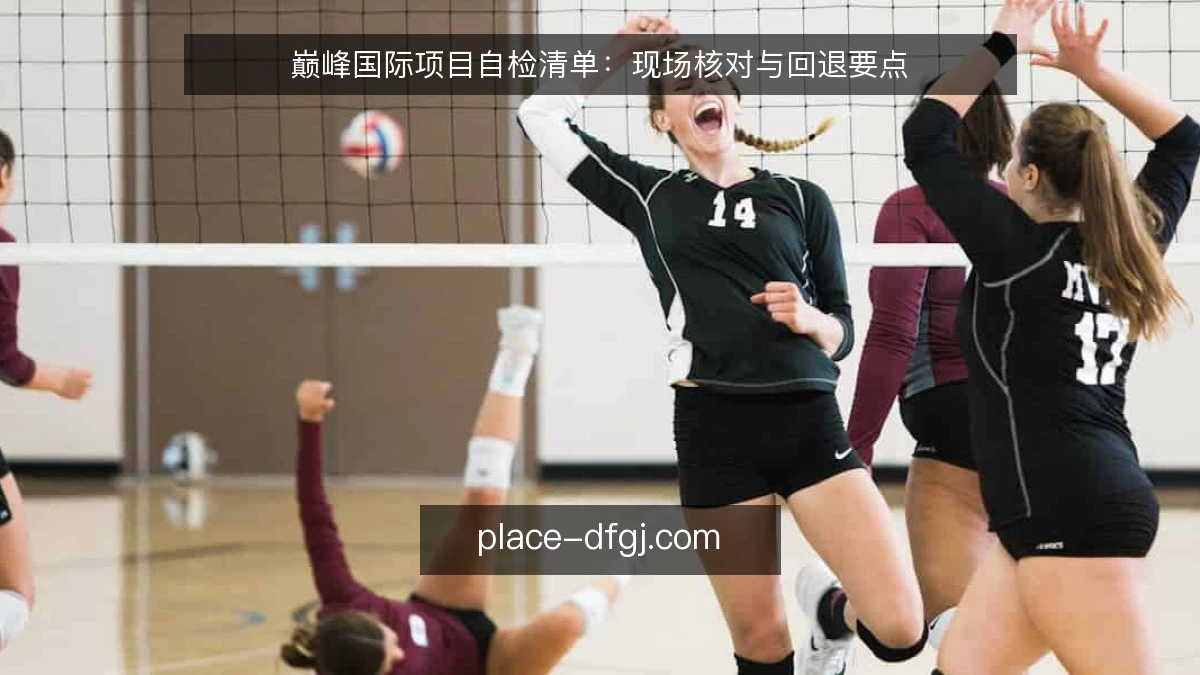 巅峰国际项目自检清单：现场核对与回退要点