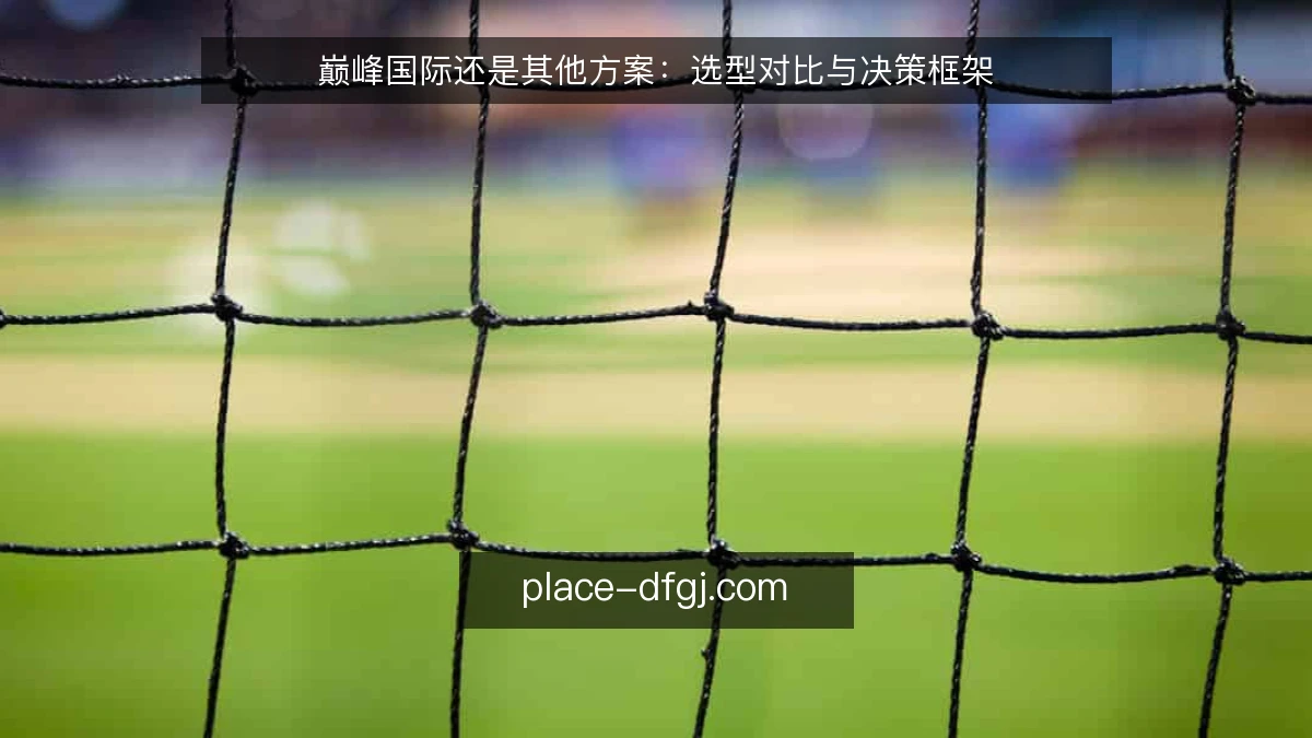 巅峰国际还是其他方案：选型对比与决策框架