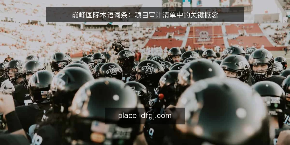 巅峰国际术语词条:项目审计清单中的关键概念 — 为什么现在需要审计 配图