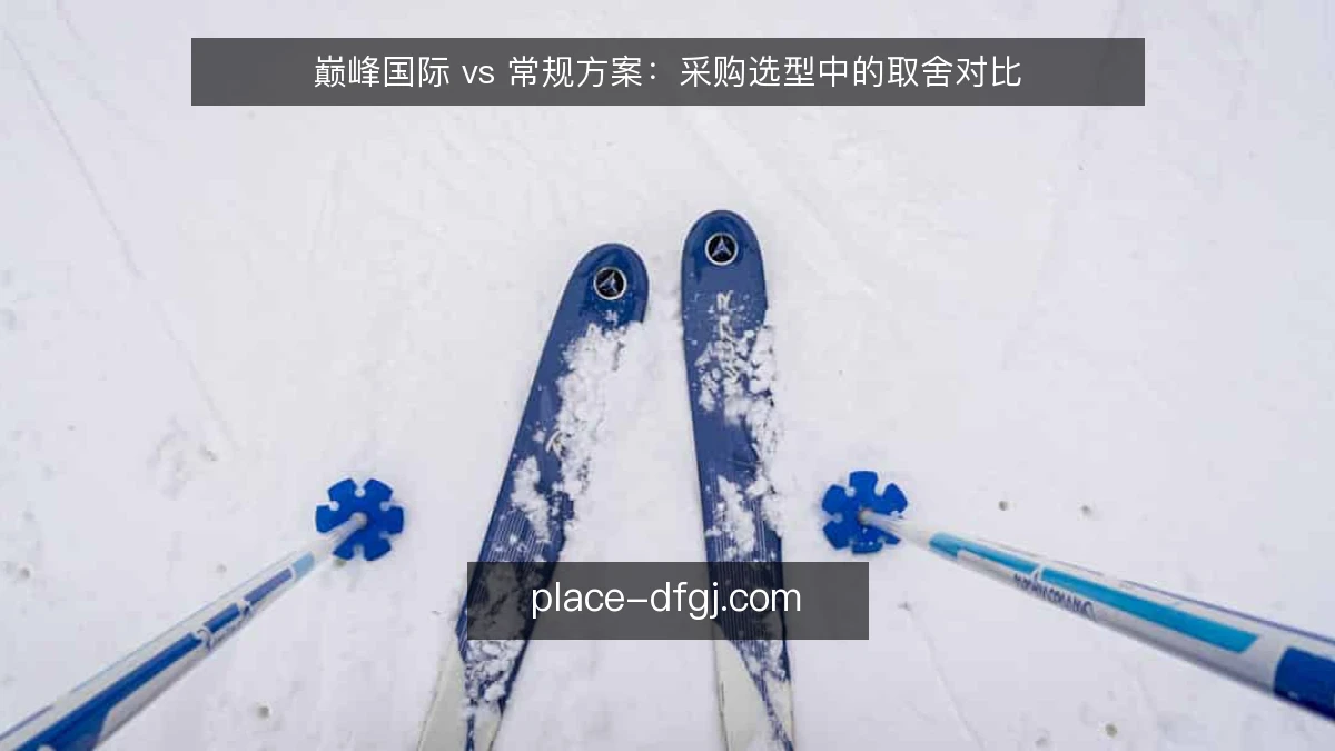 巅峰国际 vs 常规方案:采购选型中的取舍对比