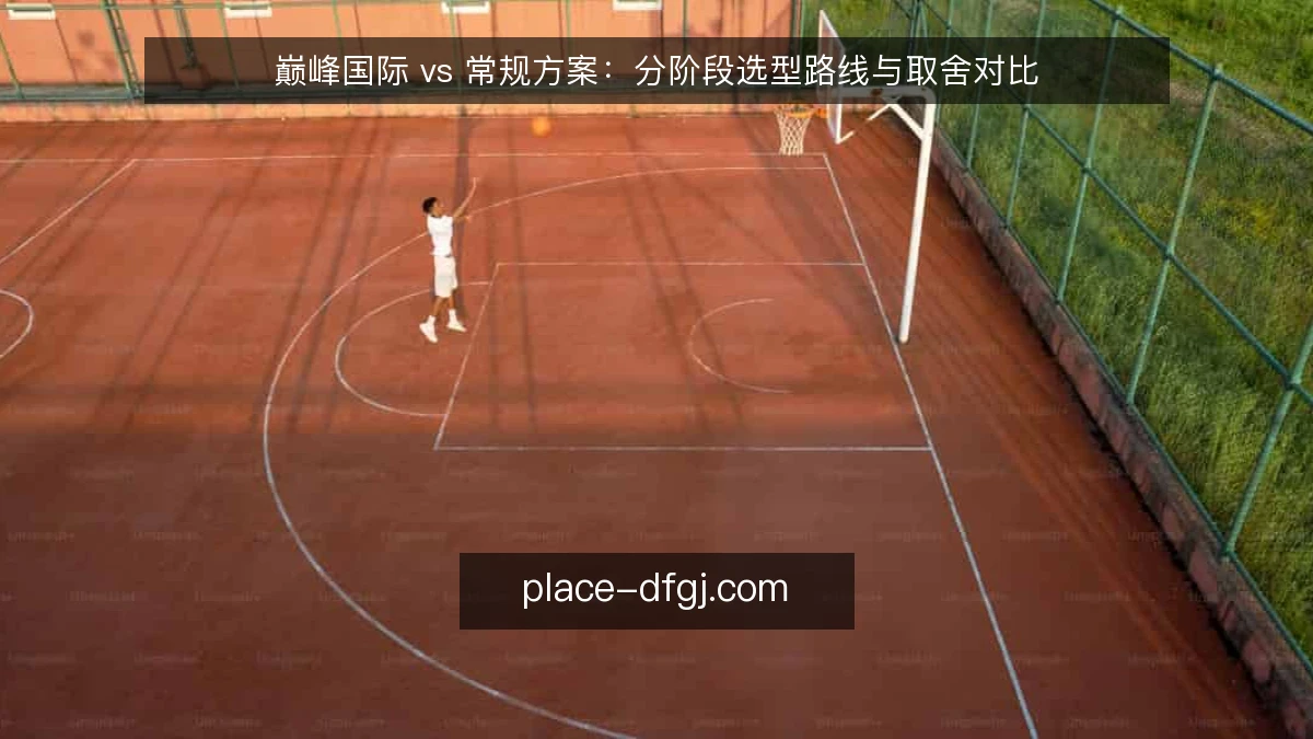 巅峰国际 vs 常规方案:分阶段选型路线与取舍对比