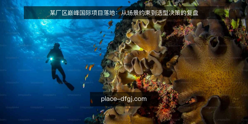 某厂区巅峰国际项目落地：从场景约束到选型决策的复盘 — 场景起点：一次产线扩展带来的项目需求 配图