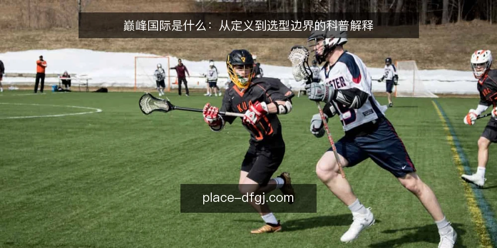 巅峰国际是什么：从定义到选型边界的科普解释 — 先定判断标准：什么叫“合适” 配图