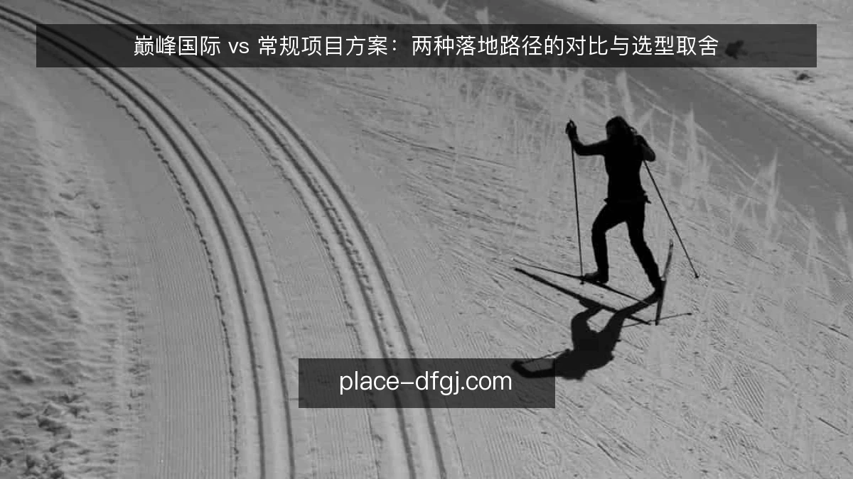 巅峰国际 vs 常规项目方案：两种落地路径的对比与选型取舍