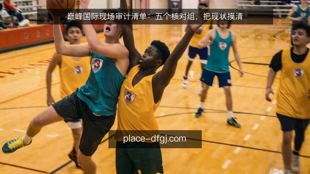 巅峰国际现场审计清单：五个核对组，把现状摸清