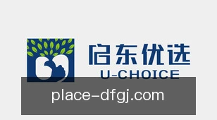 巅峰国际