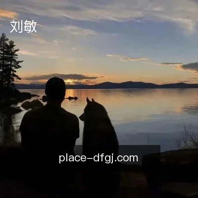 刘敏